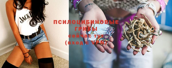 дурь Михайловка