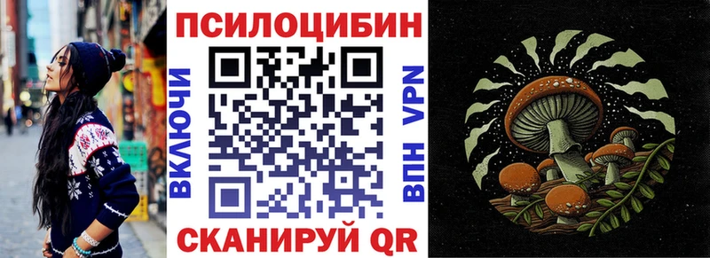 Галлюциногенные грибы Psilocybe  Пикалёво 